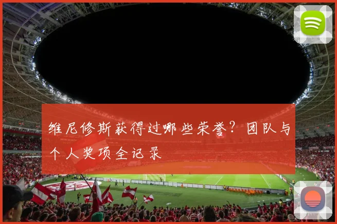 维尼修斯获得过哪些荣誉？团队与个人奖项全记录
