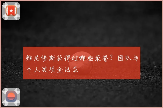 维尼修斯获得过哪些荣誉？团队与个人奖项全记录